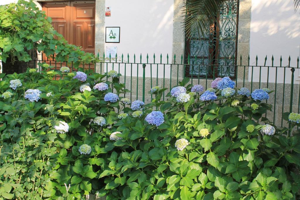 Casa Jardin De La Plata Apartment Banos De Montemayor Ngoại thất bức ảnh